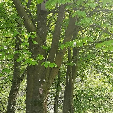 Lägenhet Apartament Na Poddaszu *